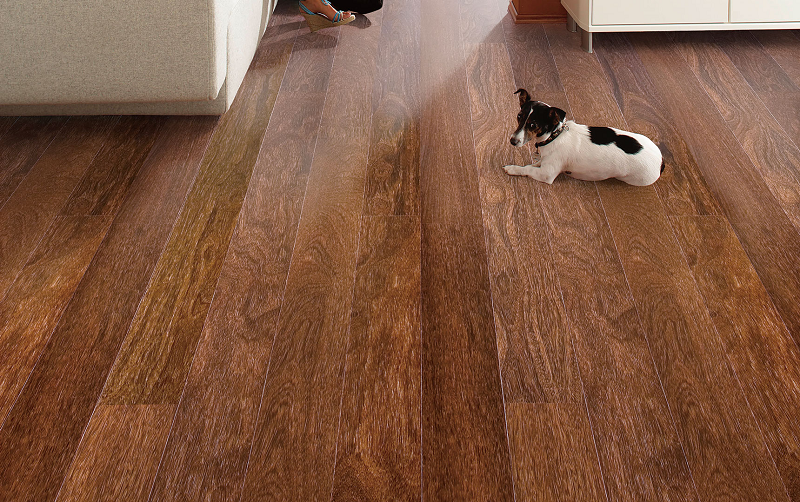 得高Parky進(jìn)口地板,給家居添上藝術(shù)底色 圖片1 得高Parky進(jìn)口地板,給家居添上藝術(shù)底色 圖片1