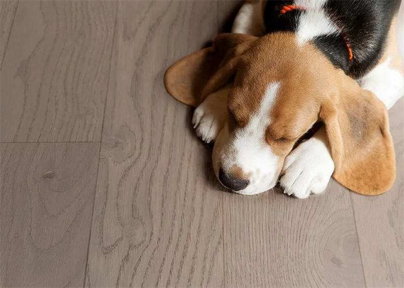 居家摯愛進口地板，優雅永不過時 圖片 9