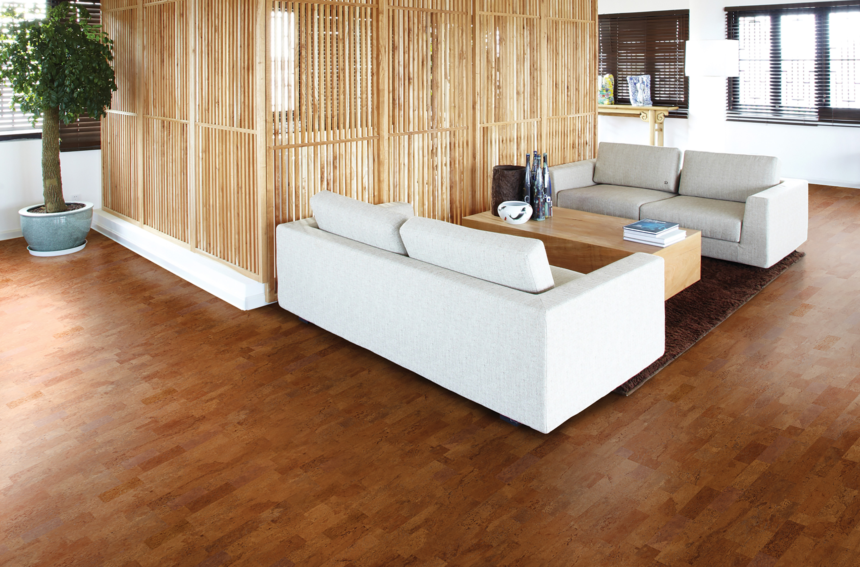 要環(huán)保地板，也要舒適溫馨，更要時尚色彩！ c93g001