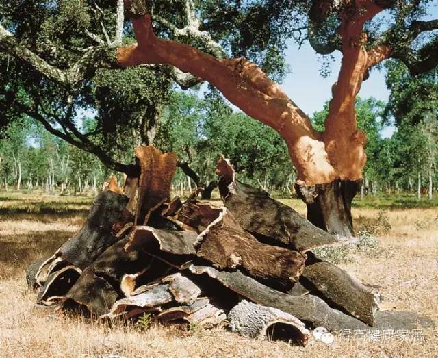 你可以永遠(yuǎn)相信得高品質(zhì)! image4 你可以永遠(yuǎn)相信得高品質(zhì)! image4