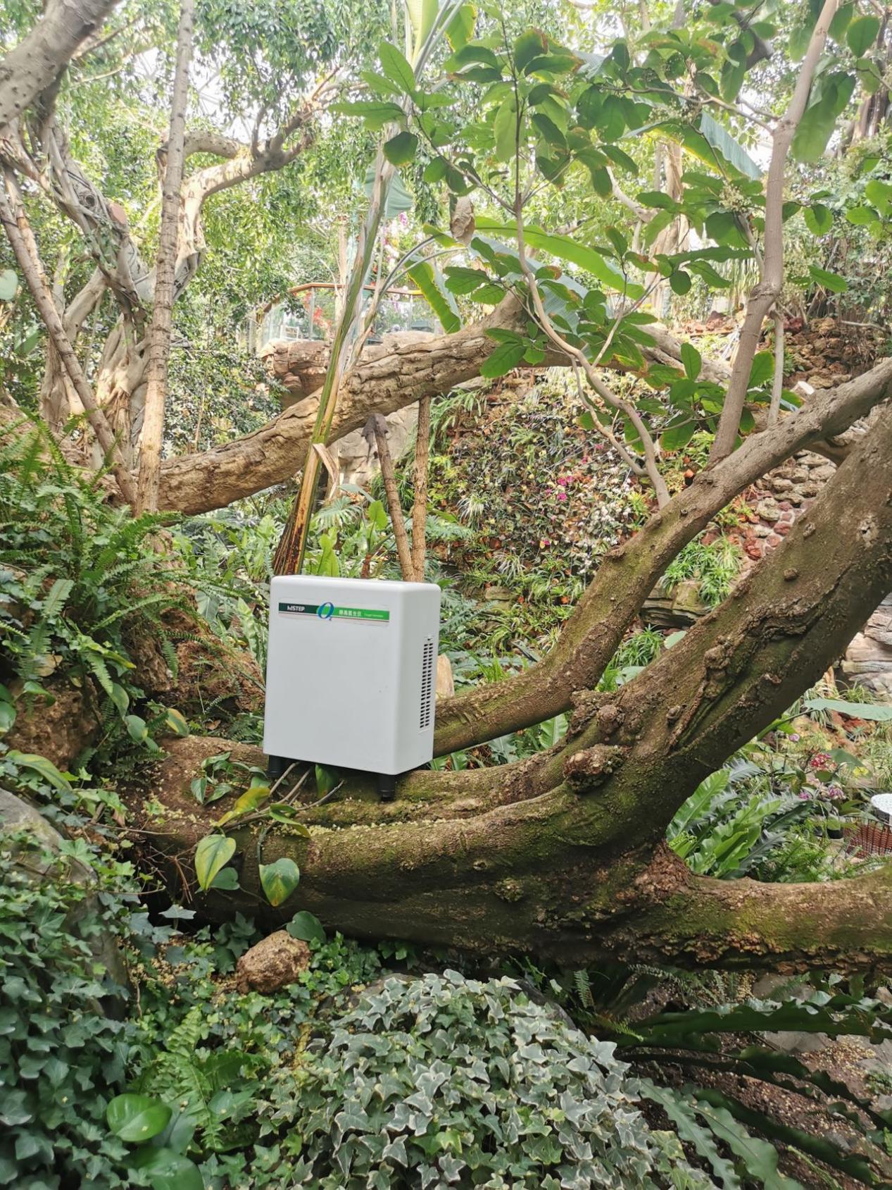 居家也要暢快呼吸,得高教你實(shí)現(xiàn)科學(xué)補(bǔ)氧! image3 居家也要暢快呼吸,得高教你實(shí)現(xiàn)科學(xué)補(bǔ)氧! image3