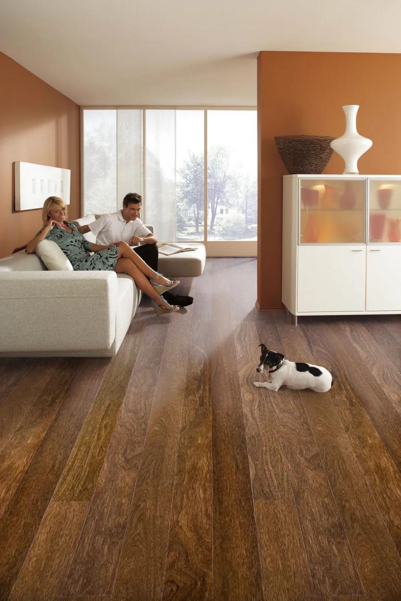 一站國際家|以國際視野，甄選品質家居 image1