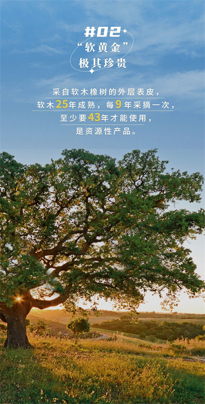 無懼挑剔眼光,裝飾材料的天花板! image4 無懼挑剔眼光,裝飾材料的天花板! image4