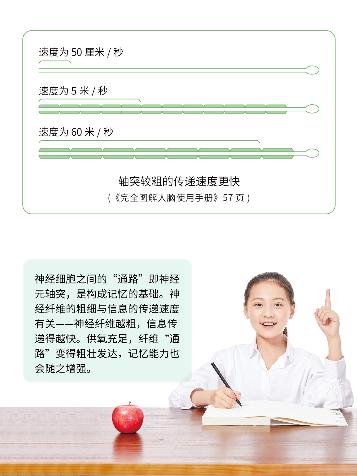 你聽說過能補(bǔ)氧的桌子嗎?有娃家庭直接抄作業(yè) 圖片8 你聽說過能補(bǔ)氧的桌子嗎?有娃家庭直接抄作業(yè) 圖片8